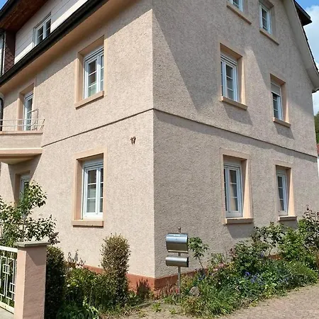 Diana Und Manuel Apartment Weinheim